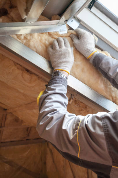 Best Blown-in Insulation  in Hahnville, LA