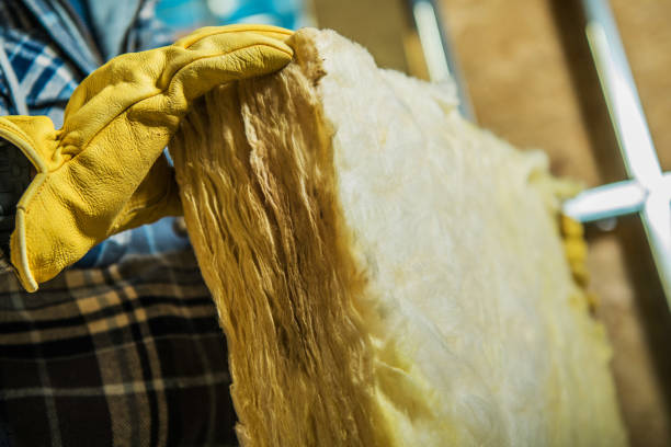 Best Attic Insulation Installation  in Hahnville, LA