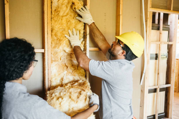 Professional Insulation Contractor in Hahnville, LA