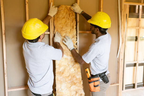 Best Professional Insulation Contractor  in Hahnville, LA