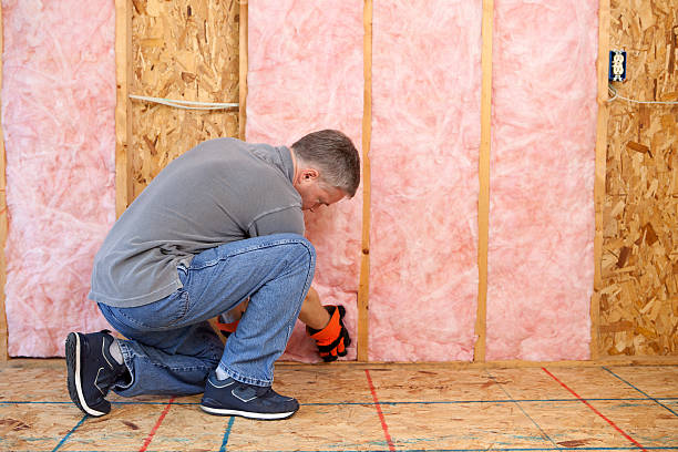 Insulation for Commercial Buildings in Hahnville, LA