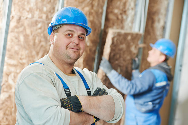 Best Fiberglass Insulation  in Hahnville, LA