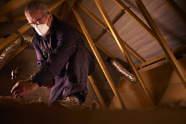 Best Fiberglass Insulation  in Hahnville, LA