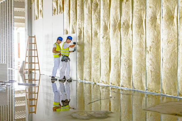 Best Blown-in Insulation  in Hahnville, LA
